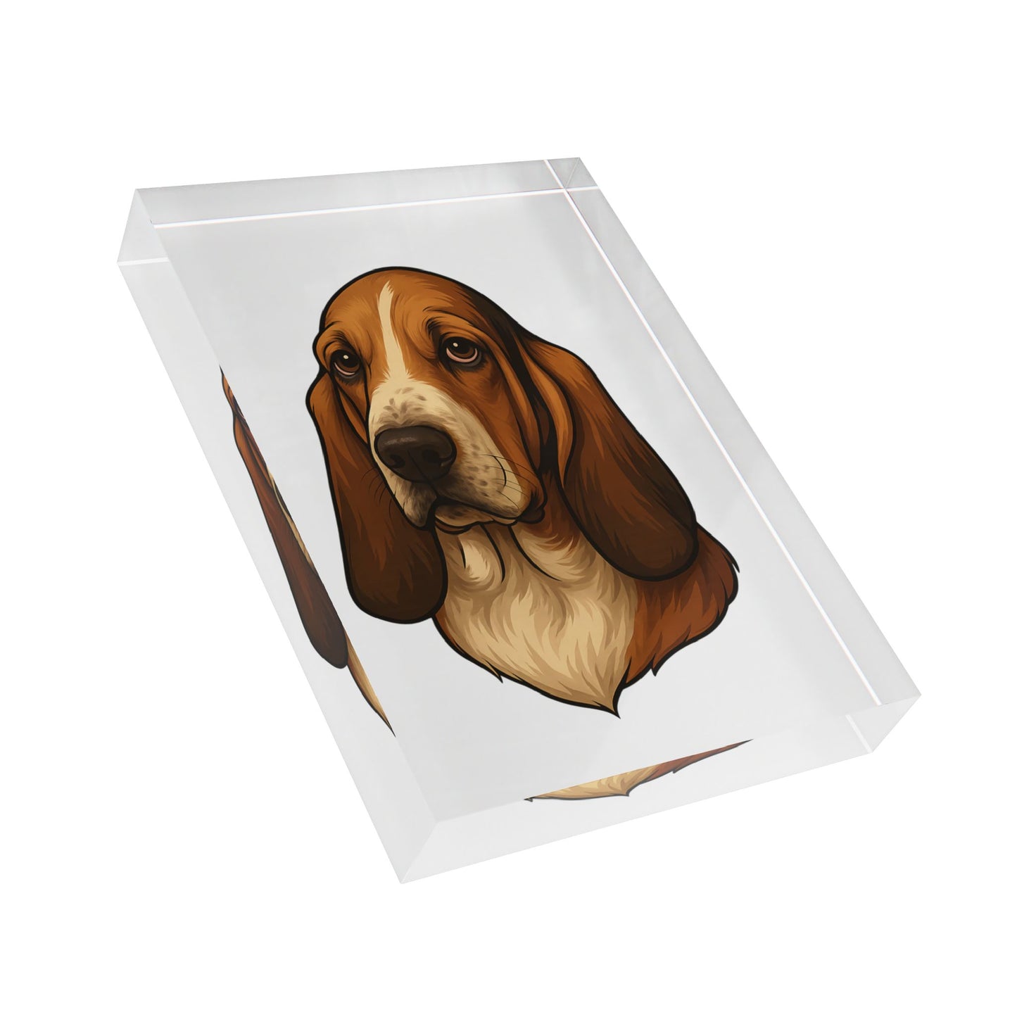 Basset Hound Head Acrylic Photo Block