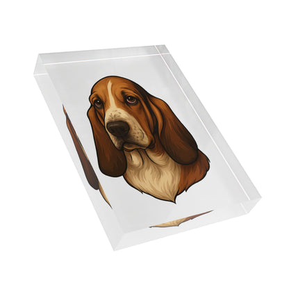 Basset Hound Head Acrylic Photo Block