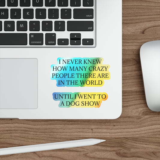 Never Knew Holographic Sticker