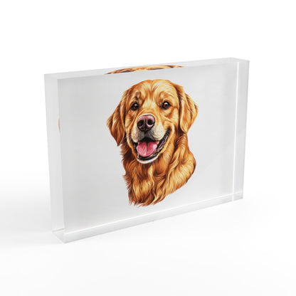 Golden Head Acrylic Photo Block