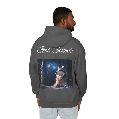 Got Snow? Unisex Lightweight Hoodie