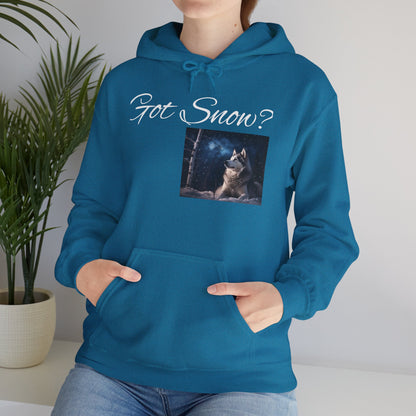 Got Snow? Unisex Hoodie
