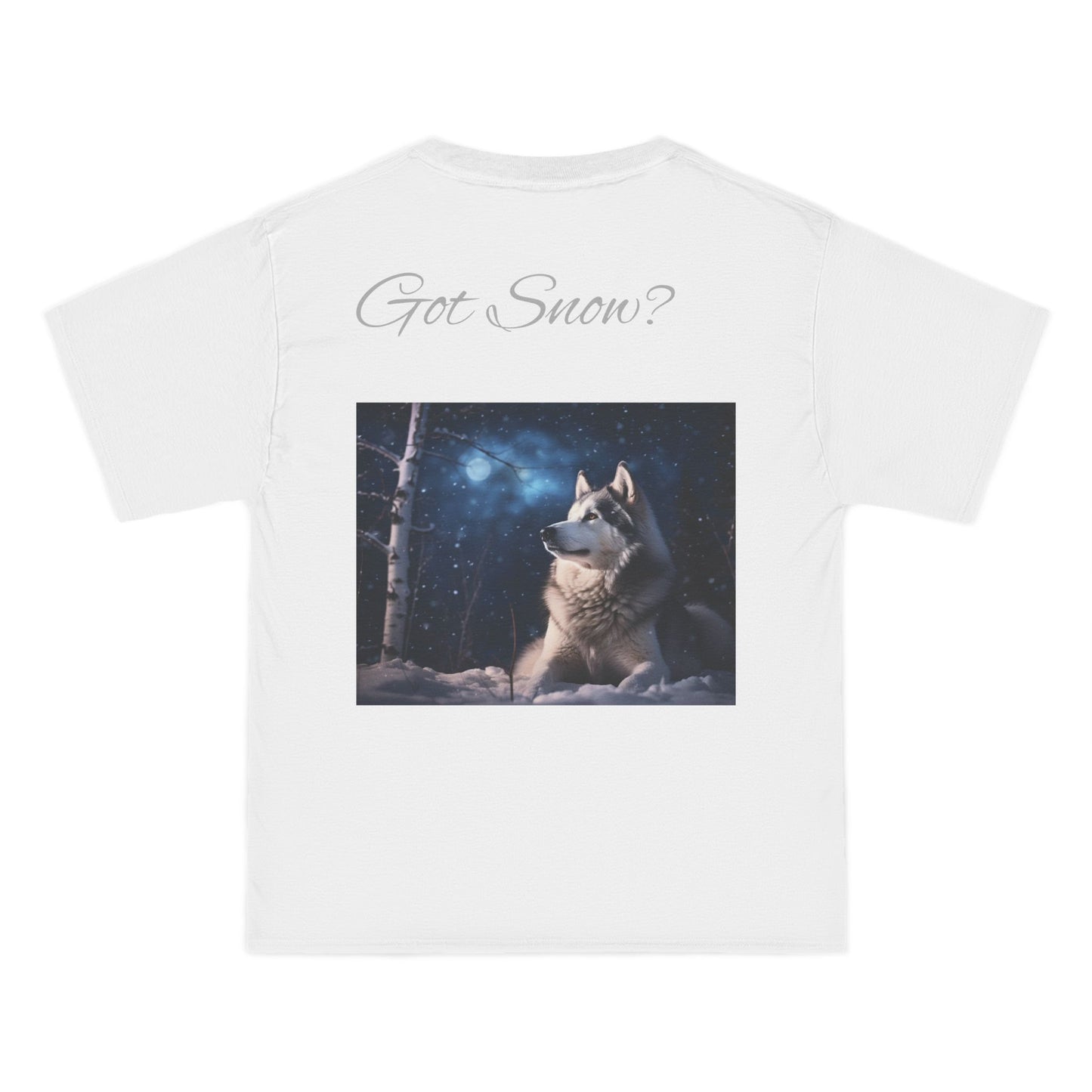 Got Snow? Men's Short-Sleeve Crewneck Tee