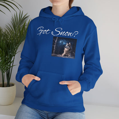 Got Snow? Unisex Hoodie