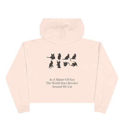 Matter Of Fact Cat Women's Crop Hoodie