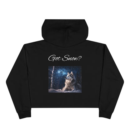 Got Snow? Women's Crop Hoodie