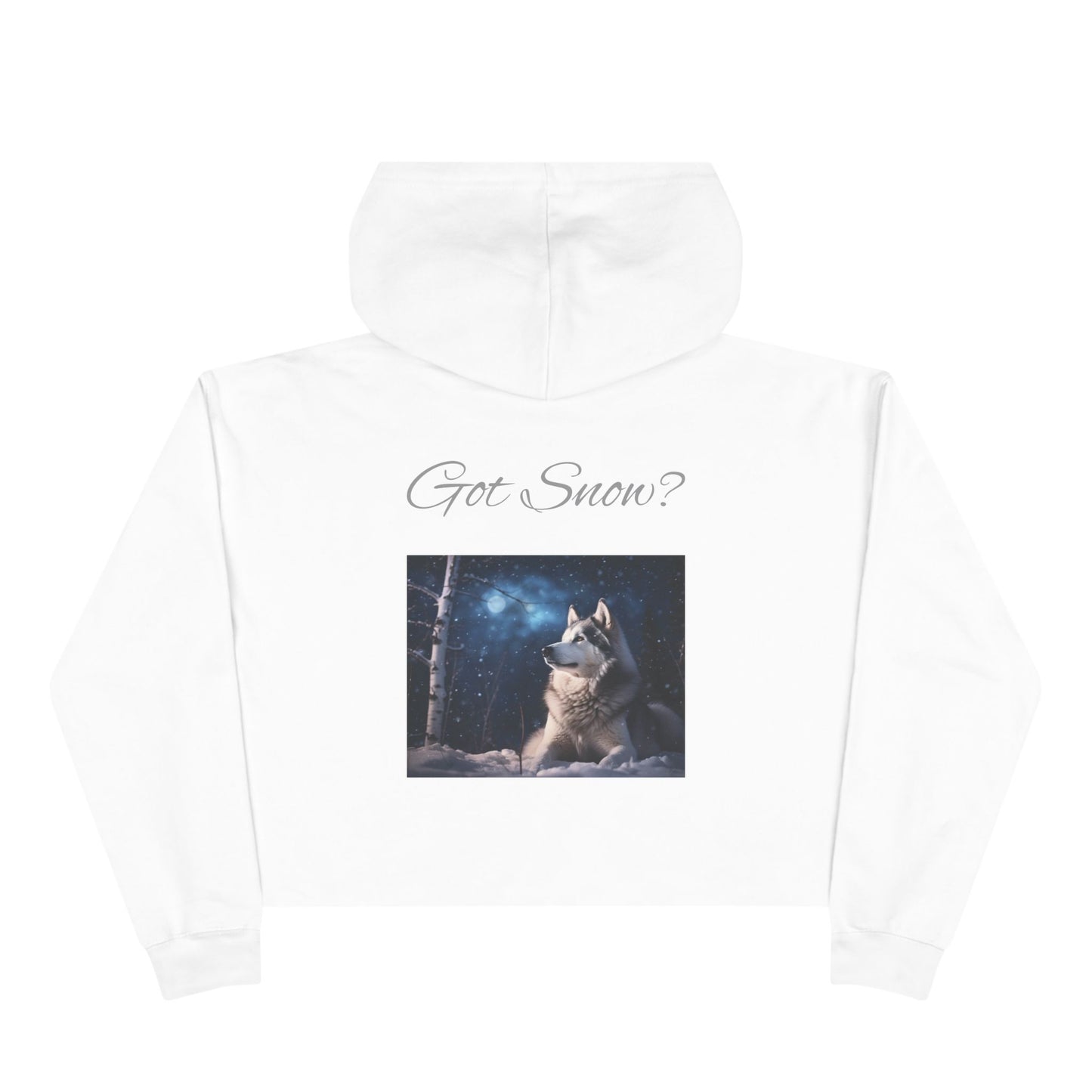 Got Snow? Women's Crop Hoodie