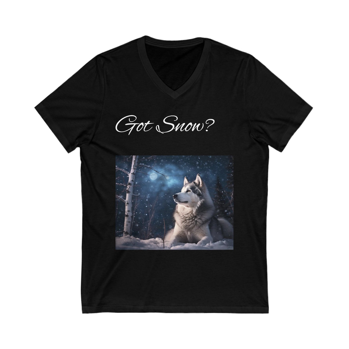 Got Snow? Unisex Short Sleeve V-Neck Tee