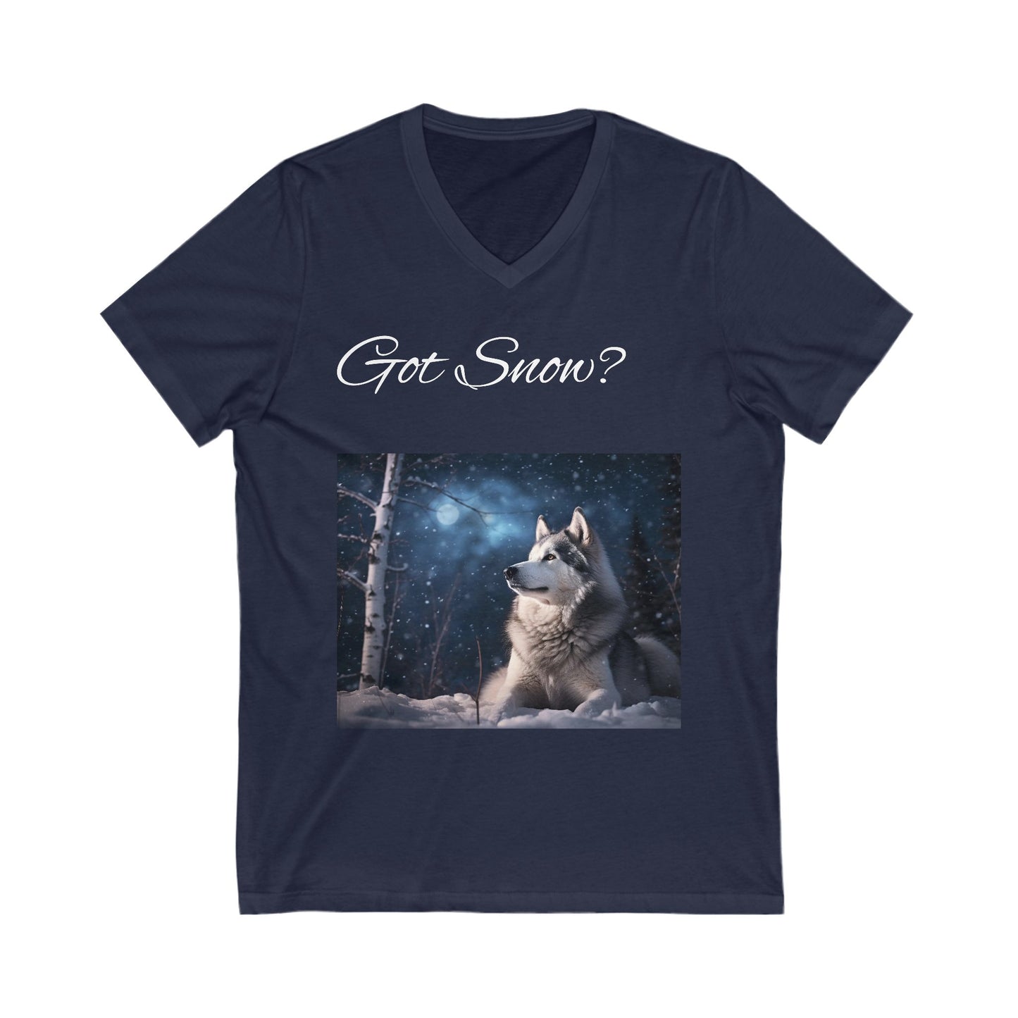 Got Snow? Unisex Short Sleeve V-Neck Tee