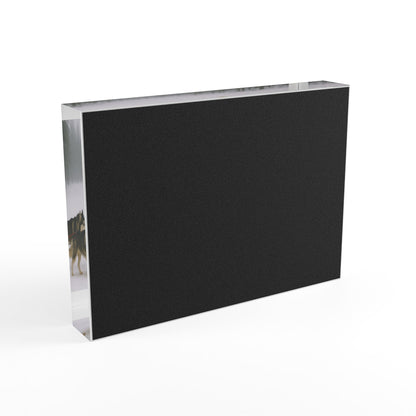 Mush On Acrylic Photo Block