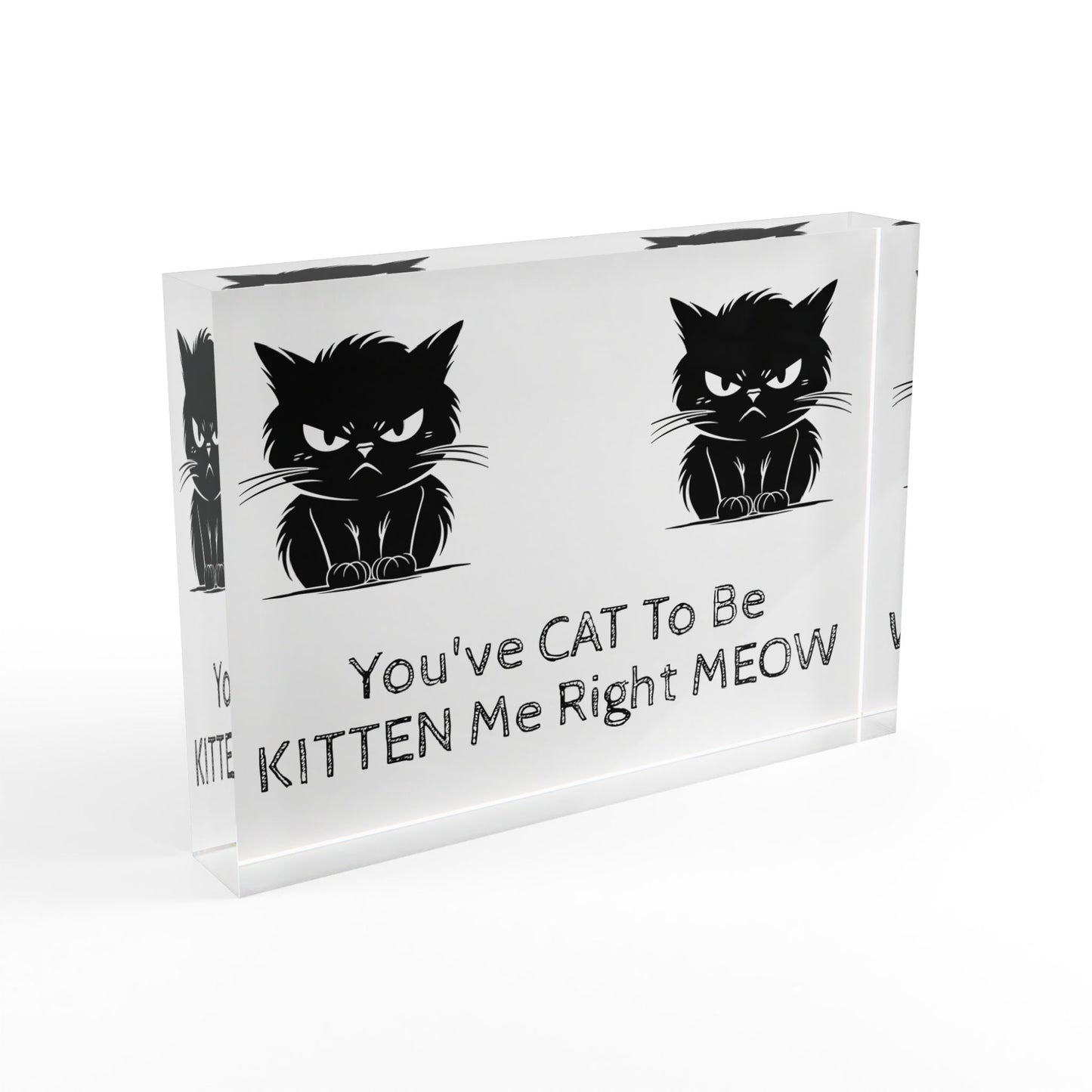 Kitten Me Acrylic Photo Block