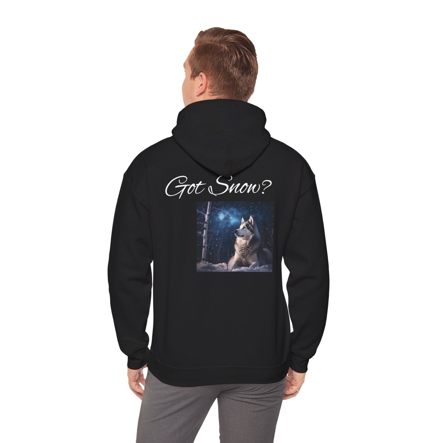 Got Snow? Unisex Hoodie