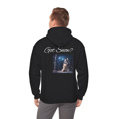 Got Snow? Unisex Hoodie