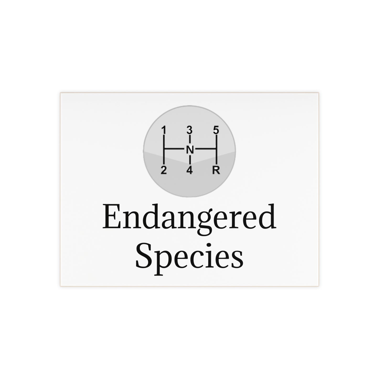 Endangered Species Ceramic Photo Tile