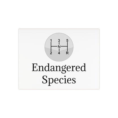 Endangered Species Ceramic Photo Tile