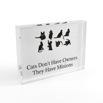 Cat Minions Acrylic Photo Block