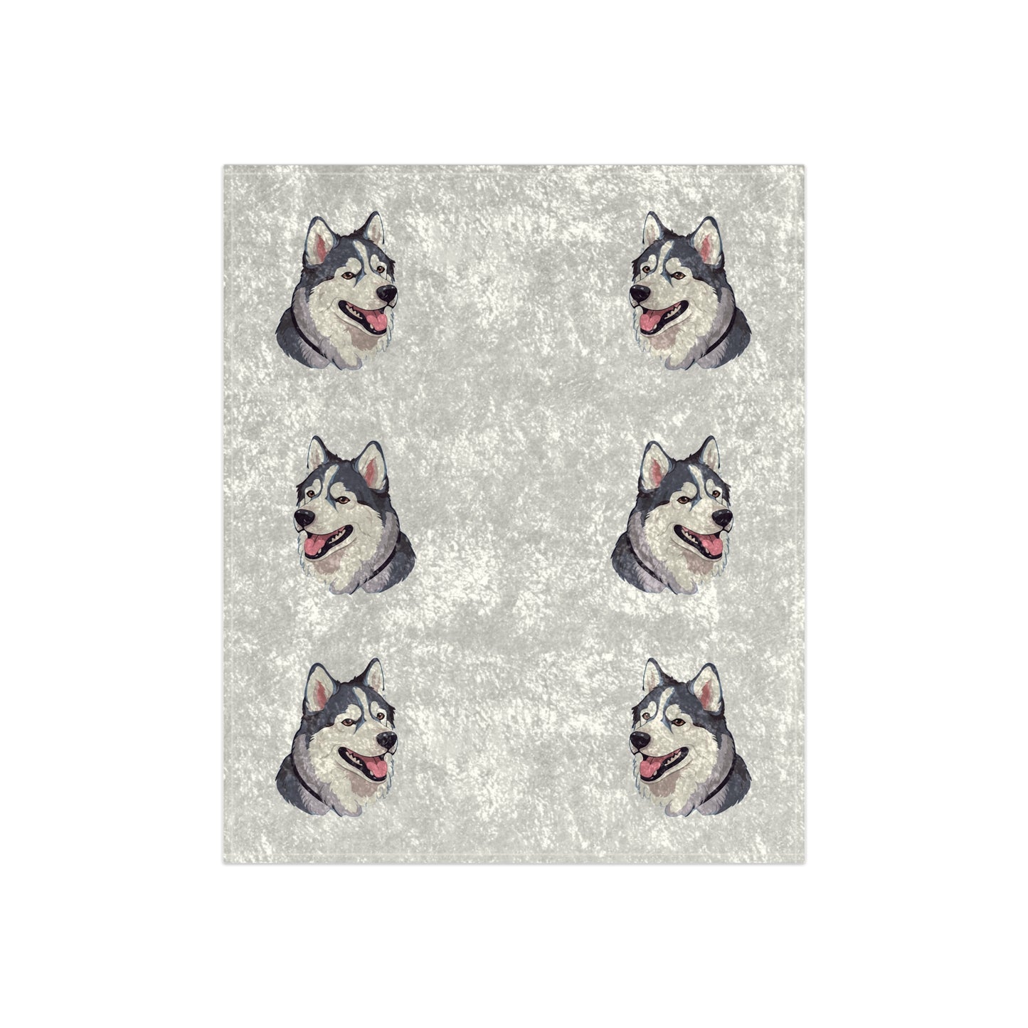Malamute Head Crushed Velvet Blanket
