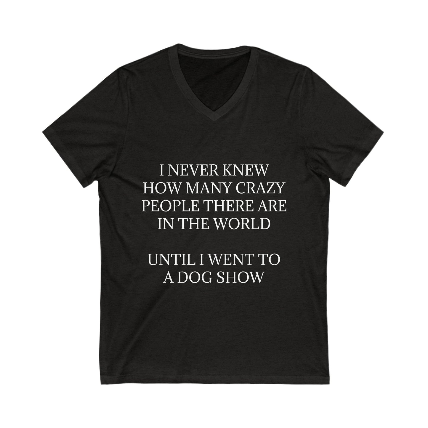 Never Knew Unisex Short Sleeve V-Neck Tee