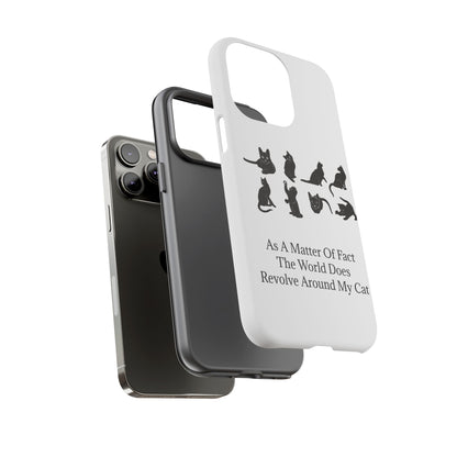 Matter Of Fact Cat iPhone Case