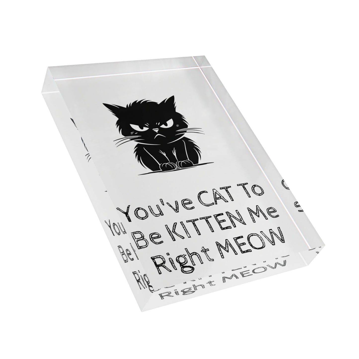 Kitten Me Acrylic Photo Block