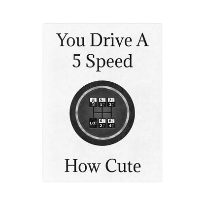 5 Speed How Cute Velveteen Microfiber Blanket