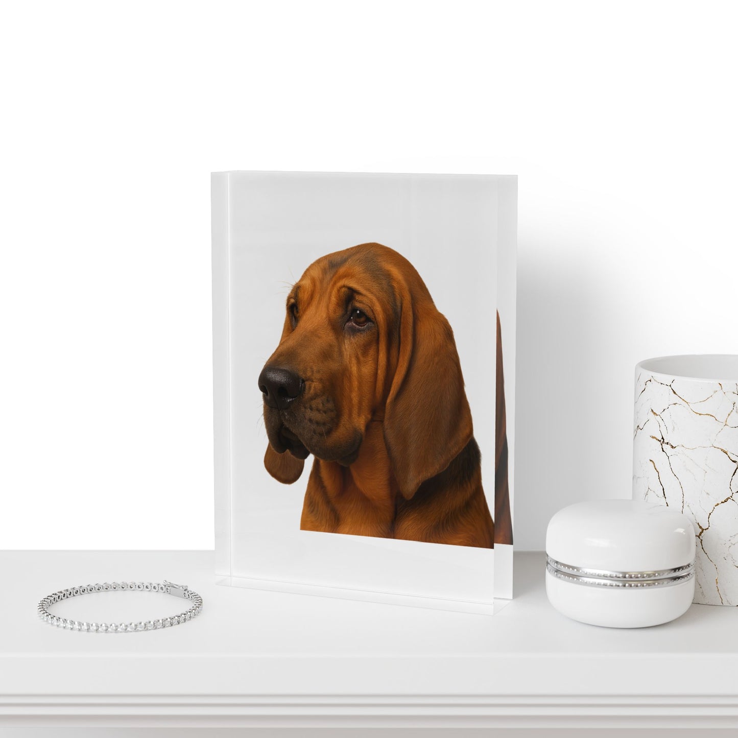 Bloodhound Head Acrylic Photo Block