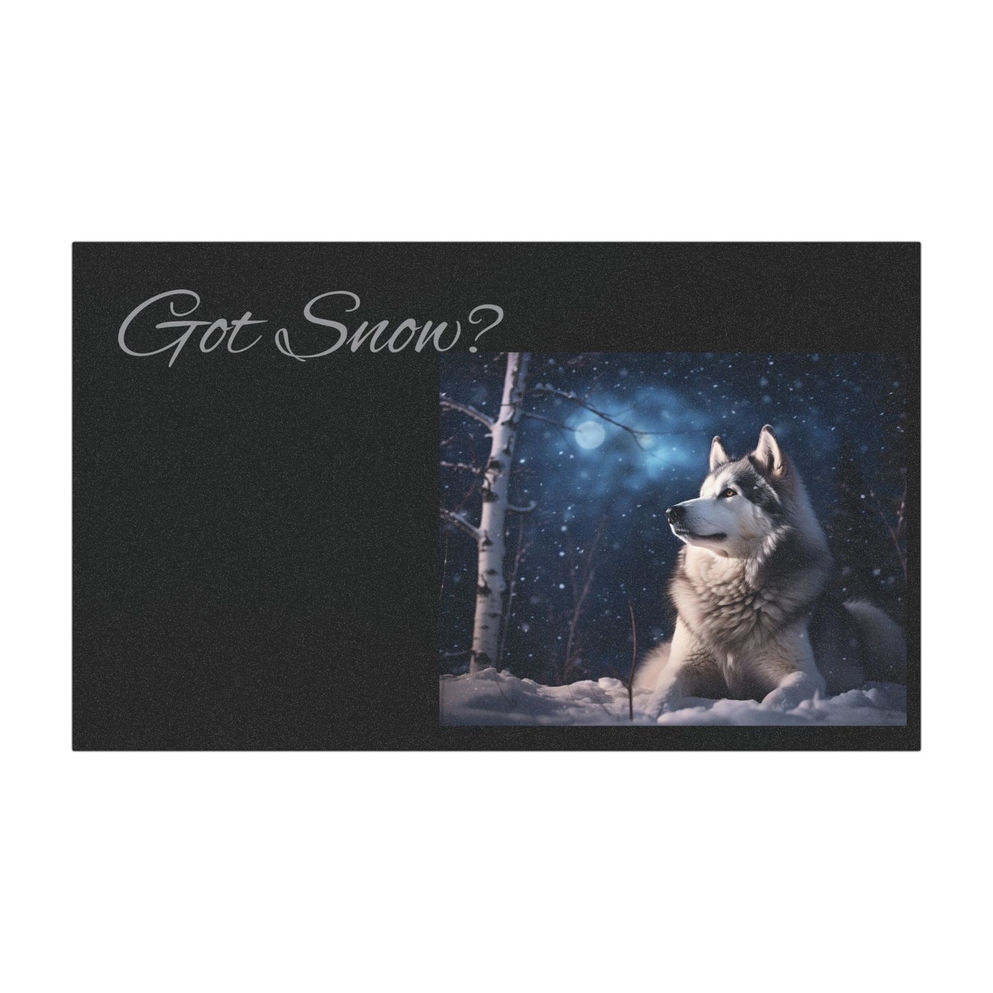 Got Snow? Indoor/Outdoor Magnet