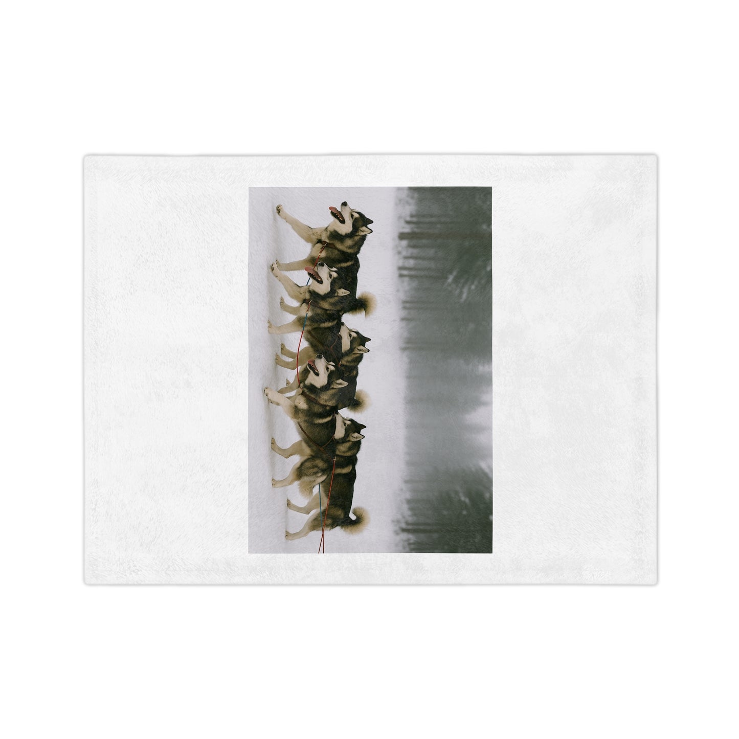 Mush On Velveteen Microfiber Blanket
