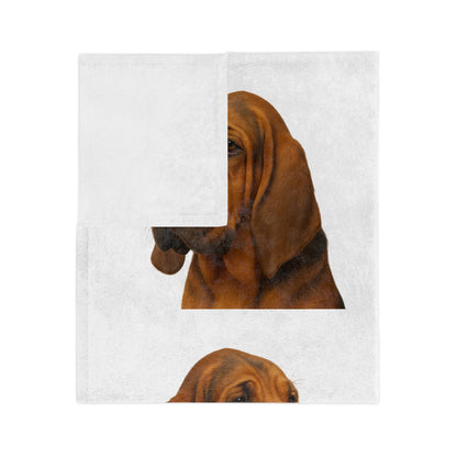 Bloodhound Head Velveteen Microfiber Blanket
