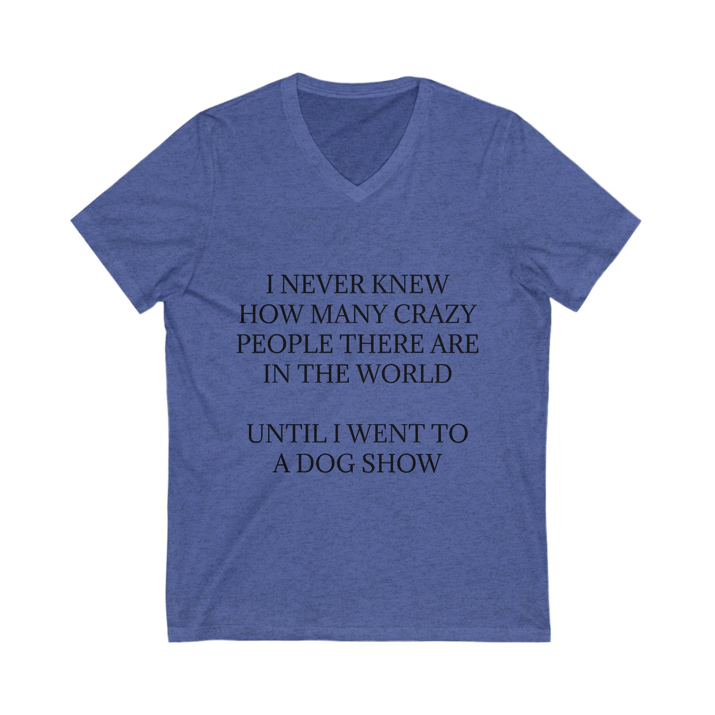 Never Knew Unisex Short Sleeve V-Neck Tee