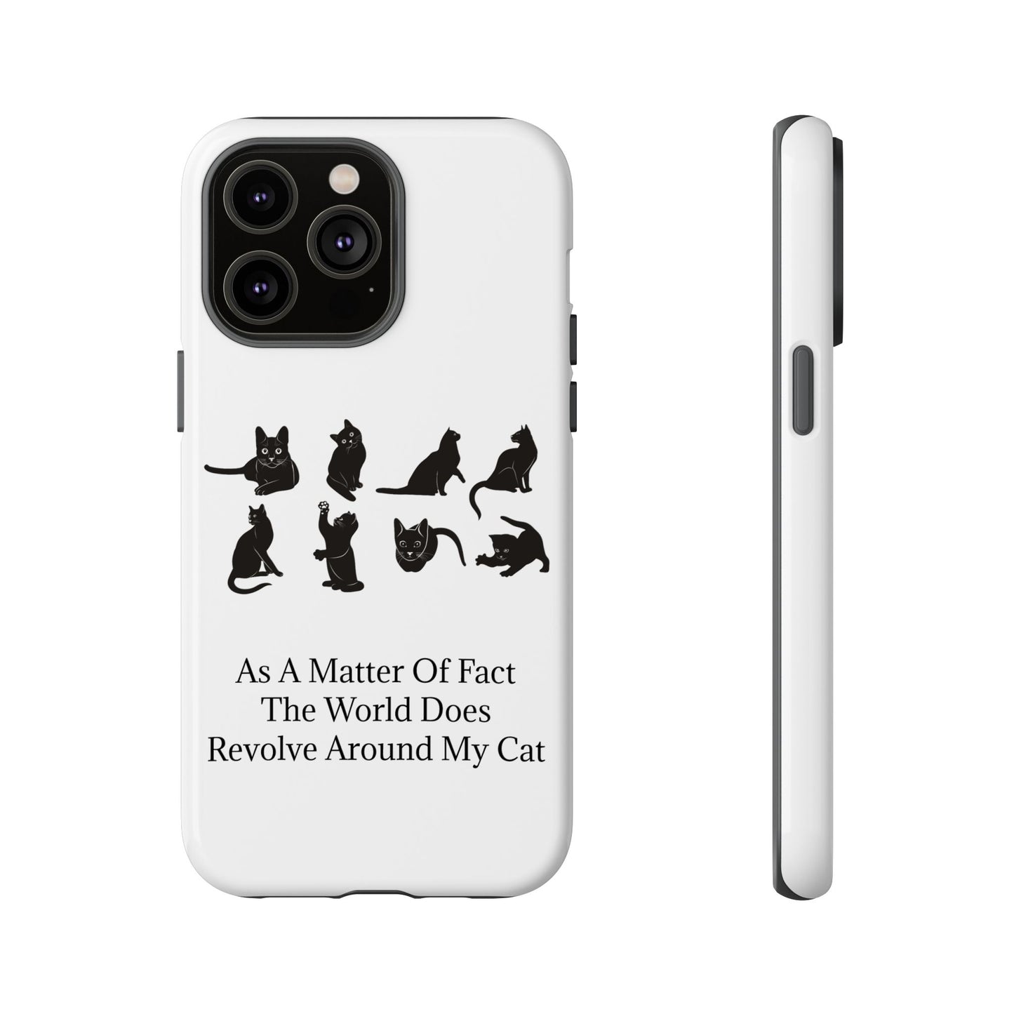 Matter Of Fact Cat iPhone Case