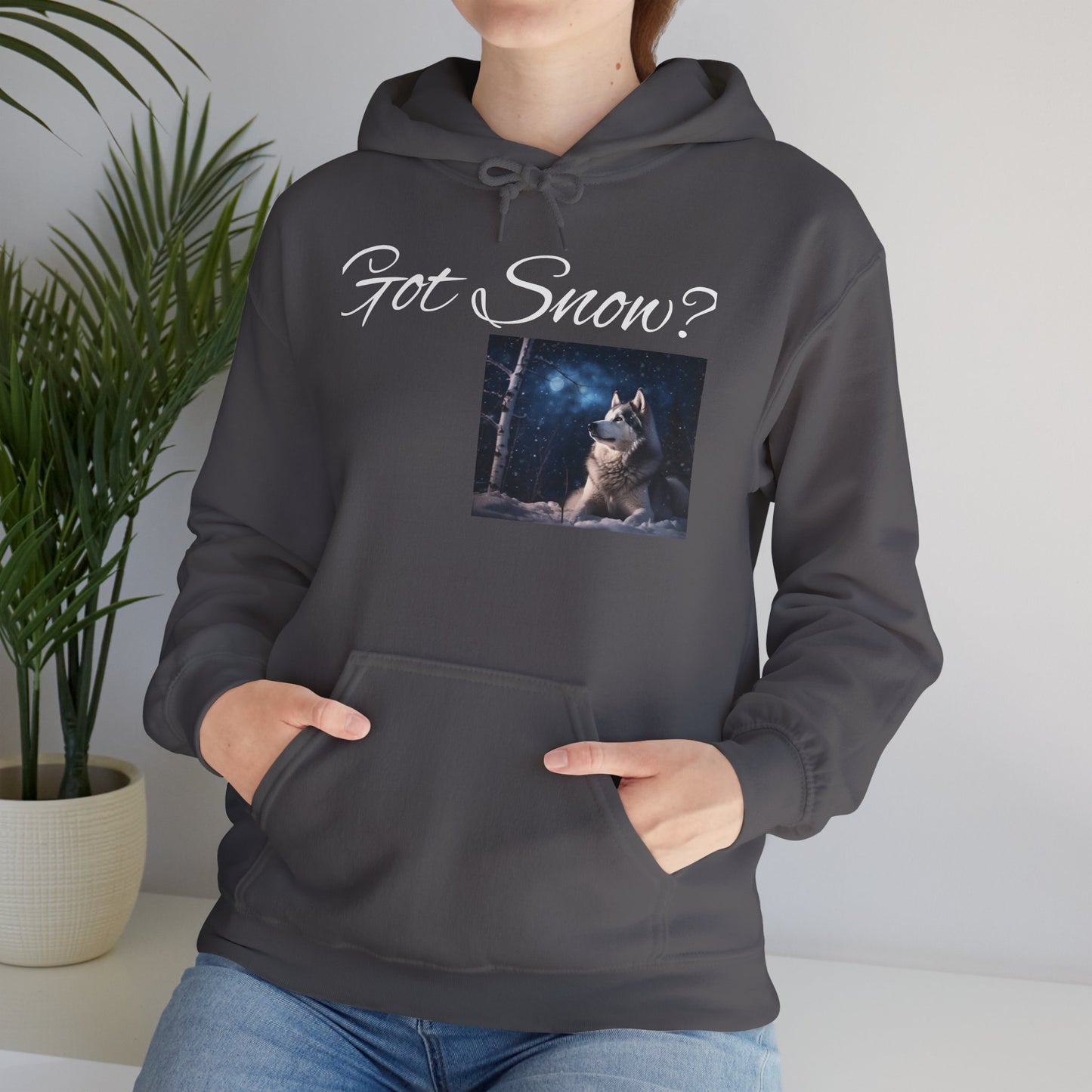 Got Snow? Unisex Hoodie