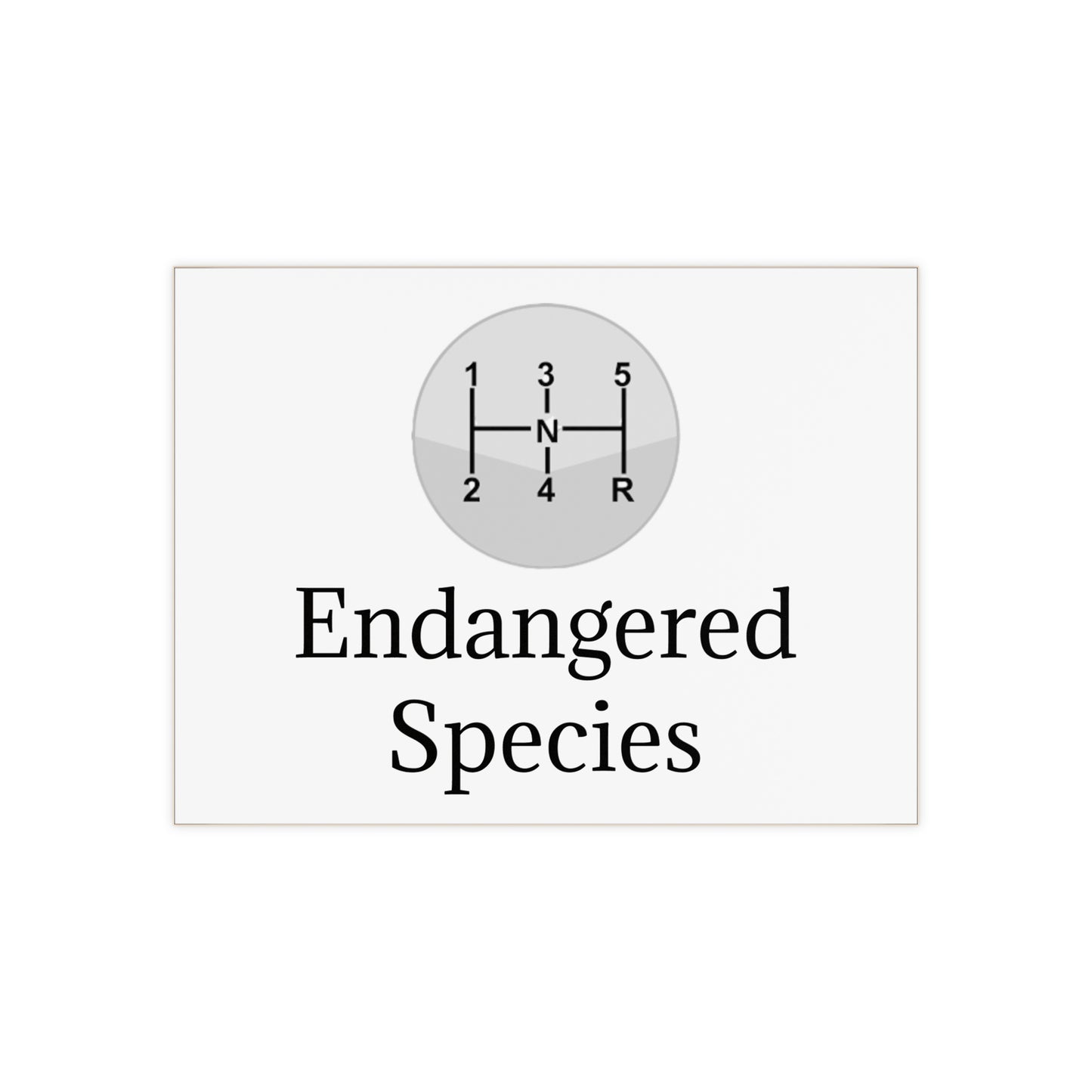 Endangered Species Ceramic Photo Tile