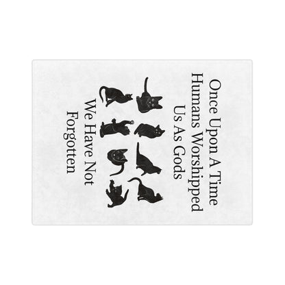 Once Upon A Time Velveteen Microfiber Blanket
