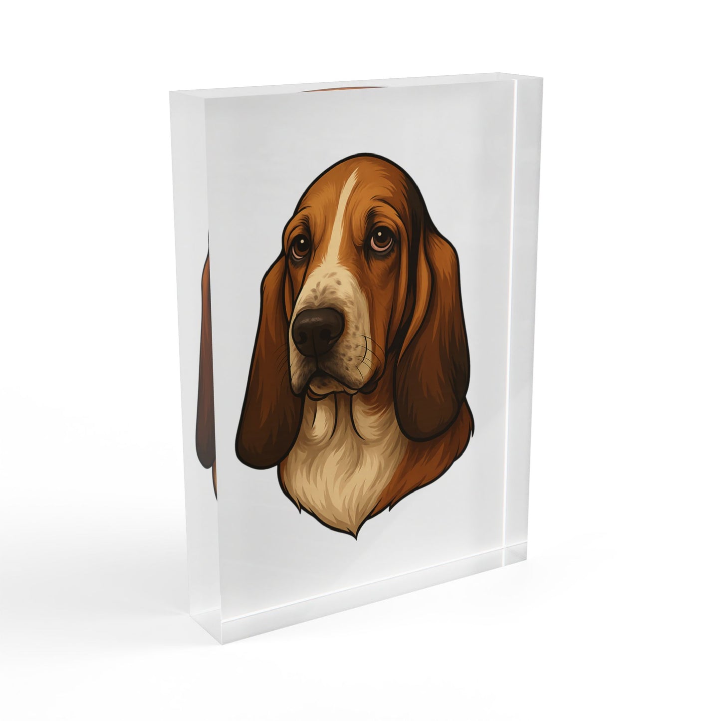Basset Hound Head Acrylic Photo Block