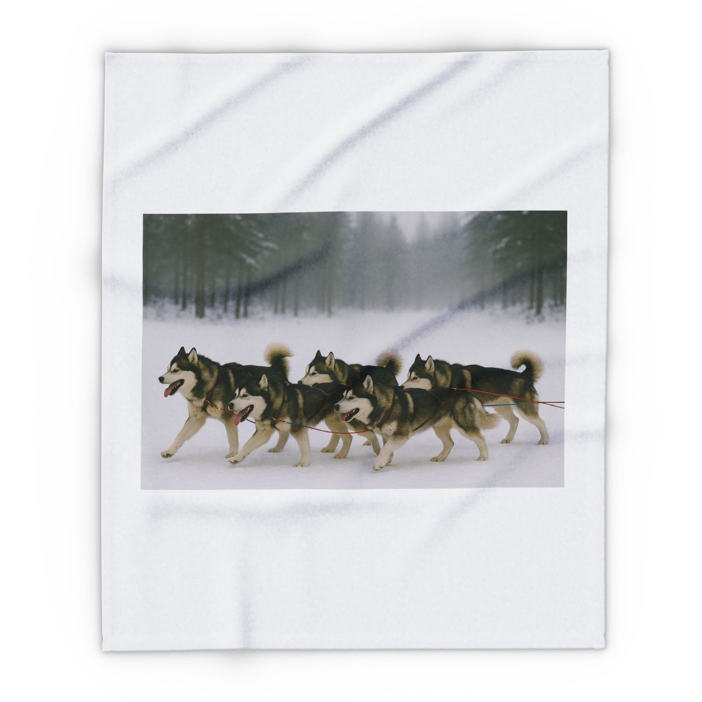 Mush On Arctic Fleece Blanket