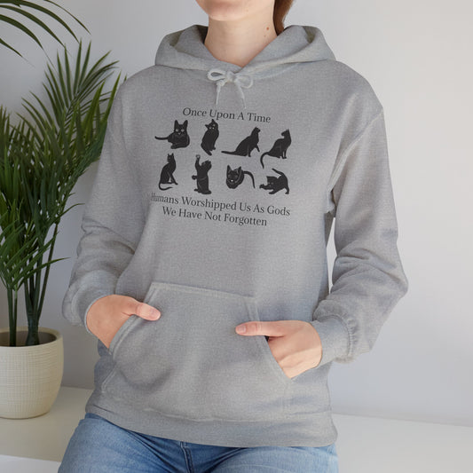 Once Upon A Time Unisex Hoodie