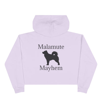 Malamute Mayhem Women's Crop Hoodie