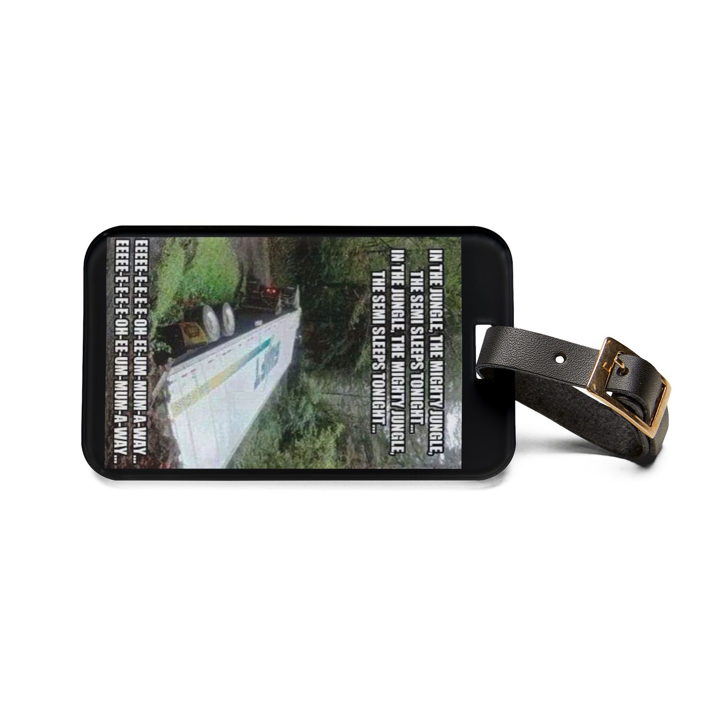Semi Sleeps Leather Strap Luggage Tag