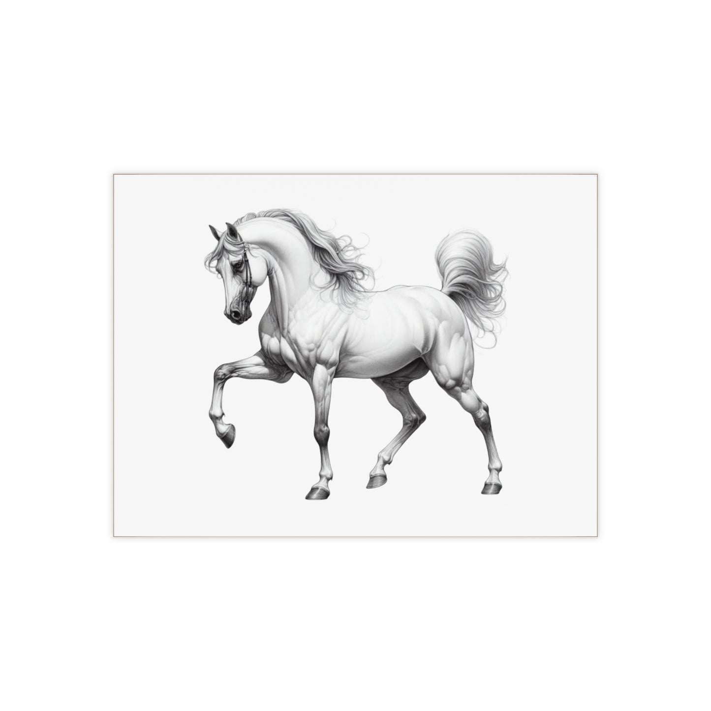 Fancy Pants Ceramic Photo Tile