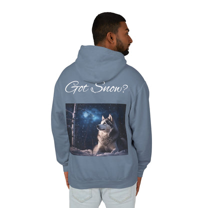 Got Snow? Unisex Lightweight Hoodie