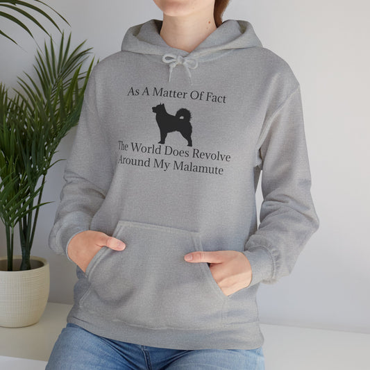 Matter Of Fact Malamute Unisex Hoodie