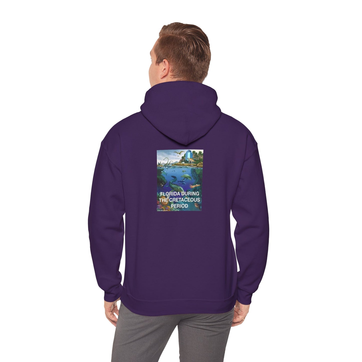 I-4 Eyesore Unisex Hoodie