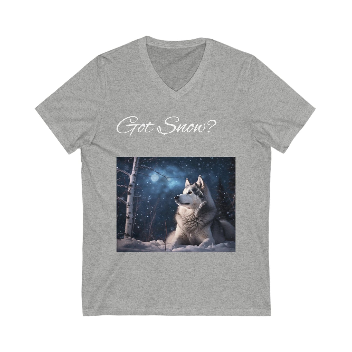 Got Snow? Unisex Short Sleeve V-Neck Tee