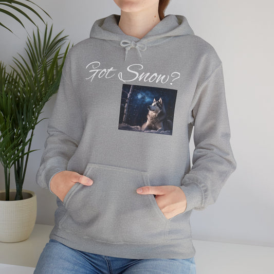 Got Snow? Unisex Hoodie