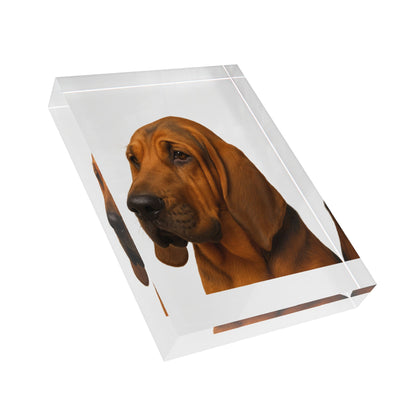 Bloodhound Head Acrylic Photo Block